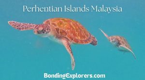 Perhentian Islandsbin Malaysia, a snorkel and divers paradise