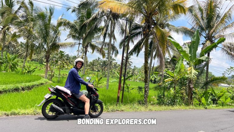 The Best 13 Activities in Beautiful North Bali and Lovina Beach
