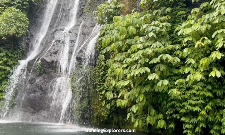 picture of the incredible Banyumala Waterfall side